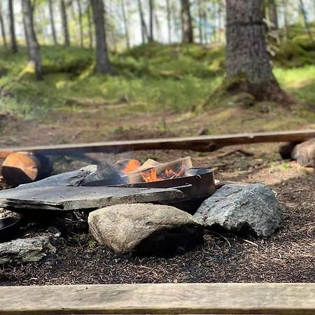 Готель Treetop Ekne - Hytte I Skogen Med Hengebru Левангер Екстер'єр фото