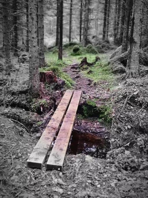 Готель Treetop Ekne - Hytte I Skogen Med Hengebru Левангер Екстер'єр фото