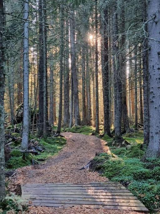 Готель Treetop Ekne - Hytte I Skogen Med Hengebru Левангер Екстер'єр фото